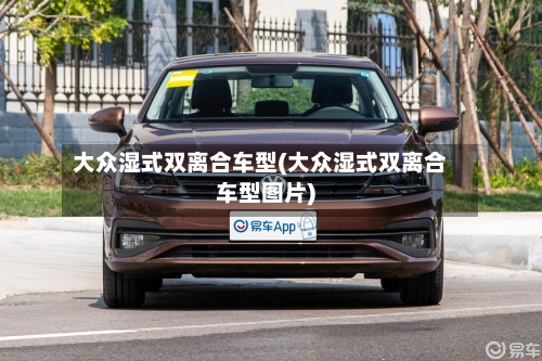 大众湿式双离合车型(大众湿式双离合车型图片)-第1张图片