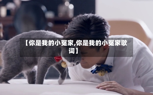 【你是我的小冤家,你是我的小冤家歌词】-第1张图片
