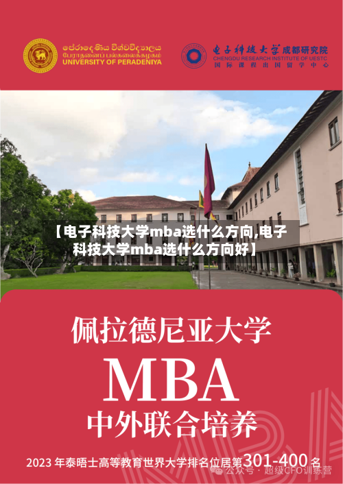 【电子科技大学mba选什么方向,电子科技大学mba选什么方向好】-第1张图片