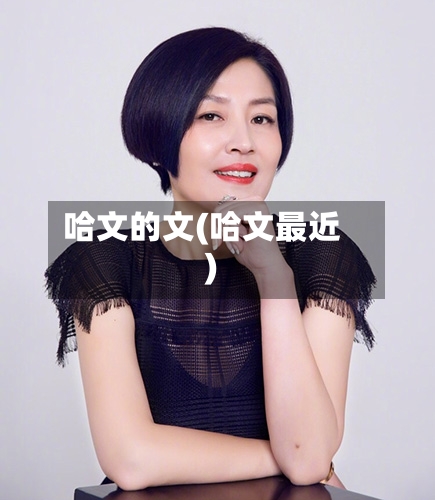 哈文的文(哈文最近)-第2张图片