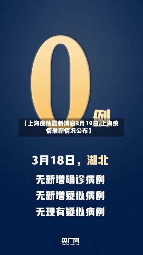 【上海疫情最新消息3月19日,上海疫情最新情况公布】-第2张图片