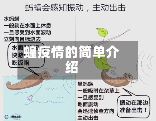 蝗疫情的简单介绍-第3张图片