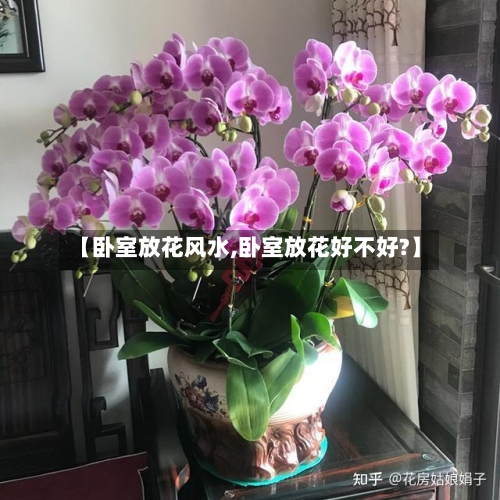 【卧室放花风水,卧室放花好不好?】-第1张图片