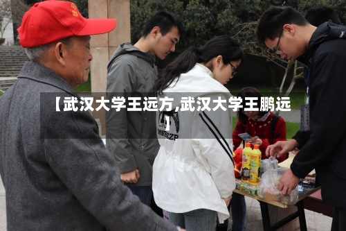 【武汉大学王远方,武汉大学王鹏远】-第1张图片