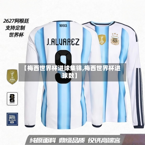 【梅西世界杯进球集锦,梅西世界杯进球数】-第1张图片