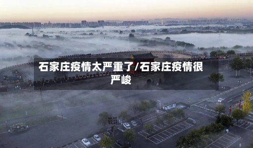 石家庄疫情太严重了/石家庄疫情很严峻-第2张图片