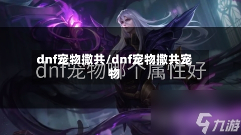 dnf宠物撒共/dnf宠物撒共宠物-第2张图片