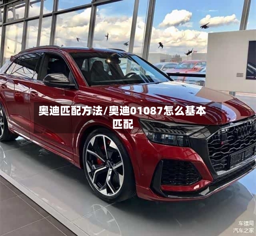 奥迪匹配方法/奥迪01087怎么基本匹配-第2张图片