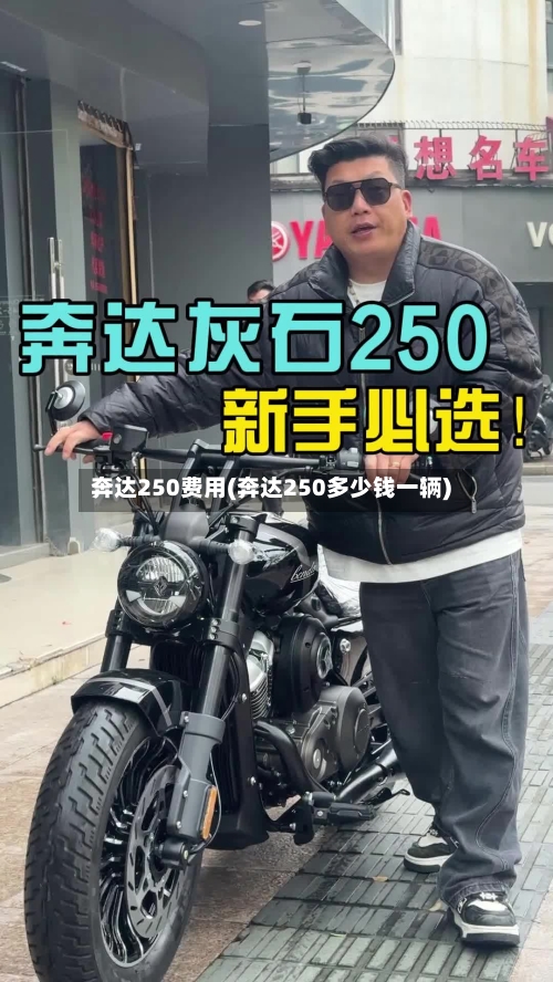 奔达250费用(奔达250多少钱一辆)-第2张图片