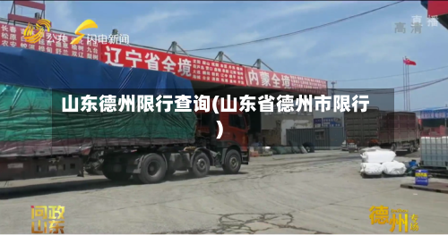 山东德州限行查询(山东省德州市限行)-第1张图片