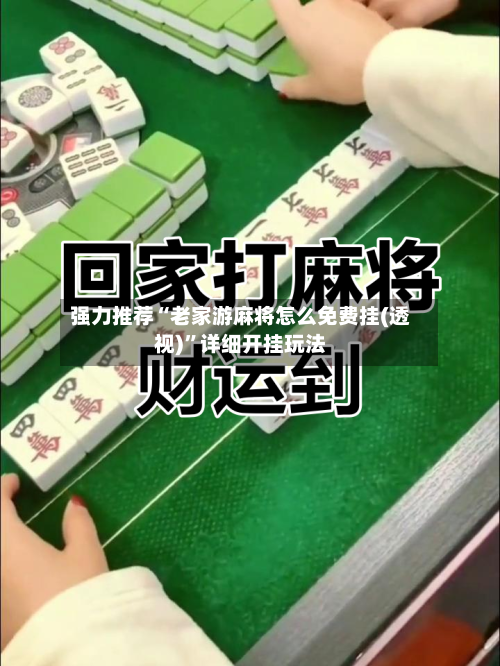 强力推荐“老家游麻将怎么免费挂(透视)	”详细开挂玩法-第1张图片