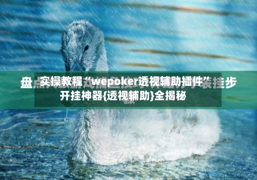 实操教程“wepoker透视辅助插件”开挂神器{透视辅助}全揭秘-第2张图片