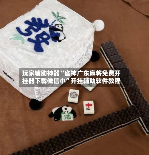 玩家辅助神器“雀神广东麻将免费开挂器下载微信小	”开挂辅助软件教程-第3张图片