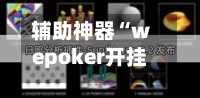 辅助神器“wepoker开挂透视方法教程”科技辅助神器手机版教程-第1张图片