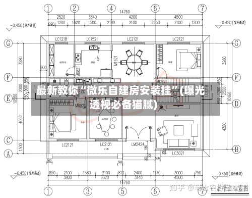 最新教你“微乐自建房安装挂”(曝光透视必备猫腻)-第2张图片