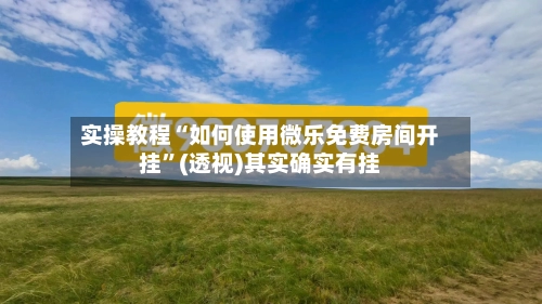实操教程“如何使用微乐免费房间开挂”(透视)其实确实有挂-第2张图片