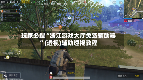 玩家必搜“浙江游戏大厅免费辅助器”(透视)辅助透视教程-第3张图片