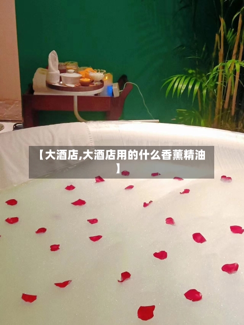 【大酒店,大酒店用的什么香薰精油】-第3张图片