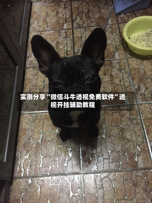 实测分享“微信斗牛透视免费软件”透视开挂辅助教程-第3张图片