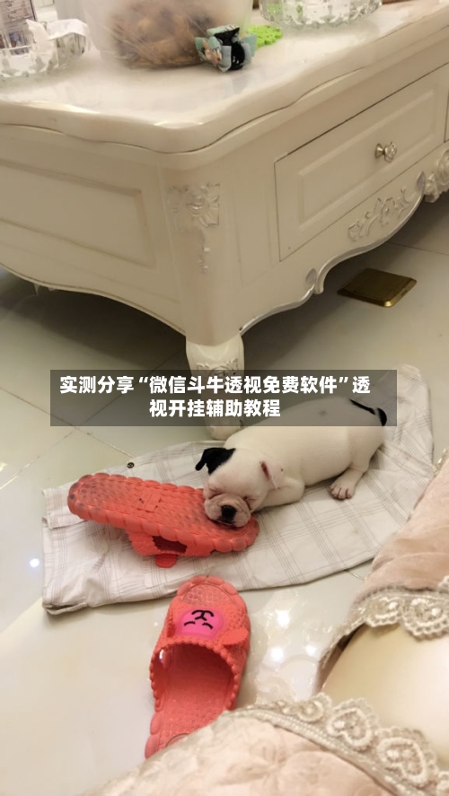 实测分享“微信斗牛透视免费软件”透视开挂辅助教程-第2张图片