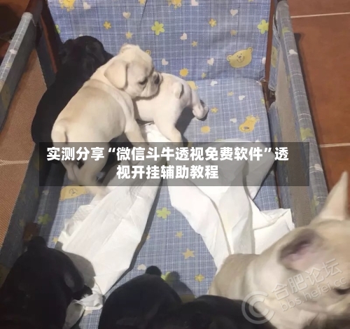 实测分享“微信斗牛透视免费软件	”透视开挂辅助教程-第1张图片