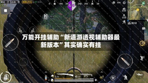 万能开挂辅助“新道游透视辅助器最新版本	”其实确实有挂-第2张图片