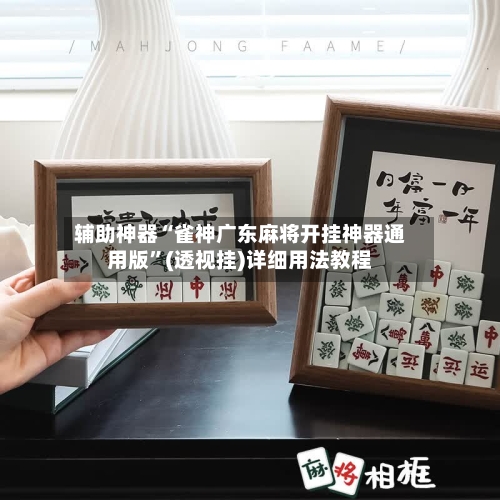 辅助神器“雀神广东麻将开挂神器通用版”(透视挂)详细用法教程-第3张图片