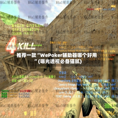 推荐一款“WePoker辅助器哪个好用”(曝光透视必备猫腻)-第3张图片