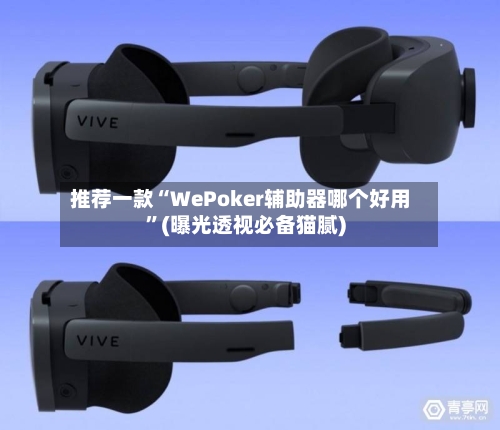 推荐一款“WePoker辅助器哪个好用”(曝光透视必备猫腻)-第1张图片