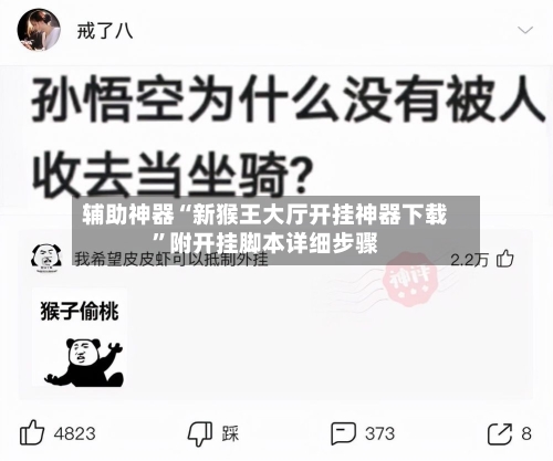 辅助神器“新猴王大厅开挂神器下载”附开挂脚本详细步骤-第3张图片