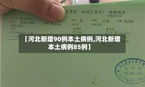 【河北新增90例本土病例,河北新增本土病例85例】-第1张图片