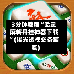 3分钟教程“哈灵麻将开挂神器下载	”(曝光透视必备猫腻)-第2张图片