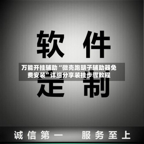 万能开挂辅助“微壳跑胡子辅助器免费安装”详细分享装挂步骤教程-第2张图片