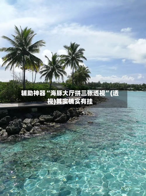 辅助神器“海豚大厅拼三张透视	”(透视)其实确实有挂-第1张图片