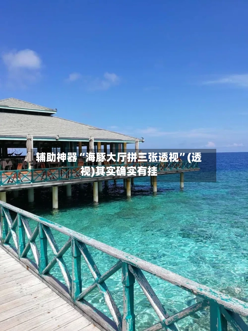 辅助神器“海豚大厅拼三张透视”(透视)其实确实有挂-第2张图片