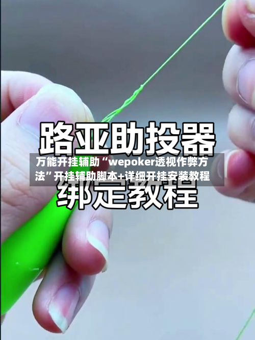 万能开挂辅助“wepoker透视作弊方法”开挂辅助脚本+详细开挂安装教程-第1张图片