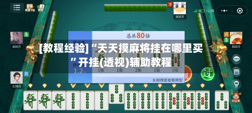 [教程经验]“天天摸麻将挂在哪里买”开挂(透视)辅助教程-第3张图片