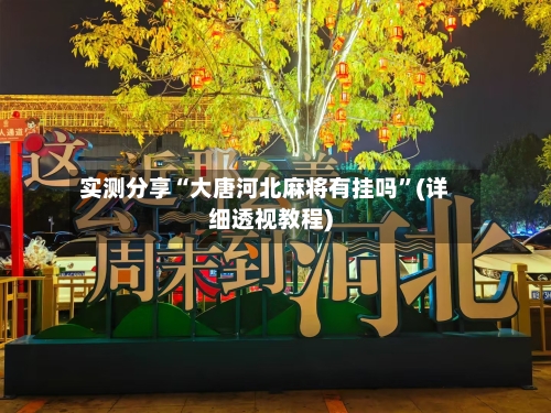 实测分享“大唐河北麻将有挂吗”(详细透视教程)-第2张图片