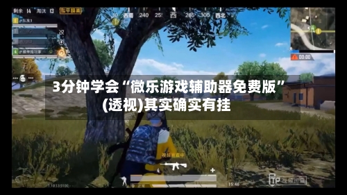 3分钟学会“微乐游戏辅助器免费版	”(透视)其实确实有挂-第1张图片