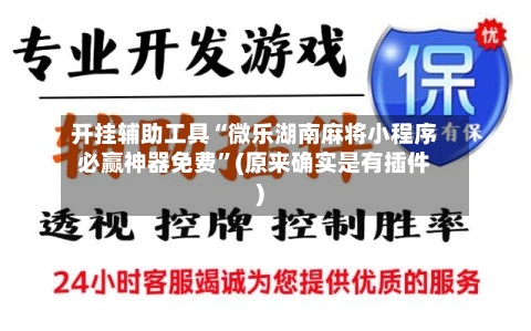 开挂辅助工具“微乐湖南麻将小程序必赢神器免费	”(原来确实是有插件)-第2张图片
