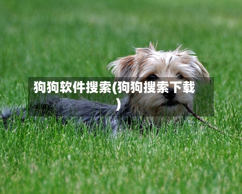 狗狗软件搜索(狗狗搜索下载)-第2张图片