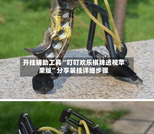 开挂辅助工具“叮叮欢乐棋牌透视苹果版”分享装挂详细步骤-第3张图片