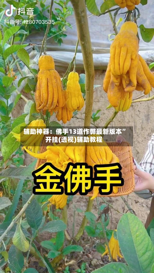 辅助神器：佛手13道作弊最新版本”开挂(透视)辅助教程-第2张图片