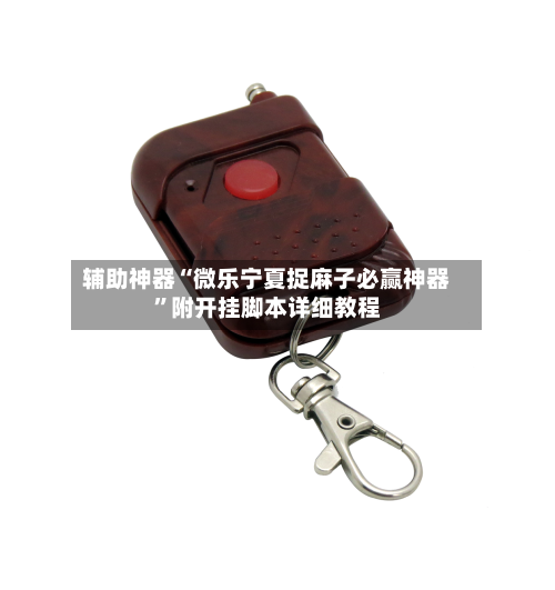 辅助神器“微乐宁夏捉麻子必赢神器”附开挂脚本详细教程-第1张图片