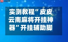 实测教程”皮皮云南麻将开挂神器”开挂辅助脚本+详细-第1张图片