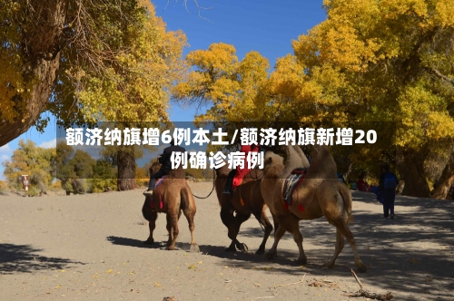 额济纳旗增6例本土/额济纳旗新增20例确诊病例-第1张图片