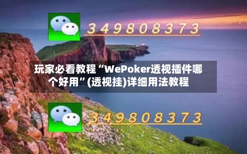 玩家必看教程“WePoker透视插件哪个好用	”(透视挂)详细用法教程-第3张图片