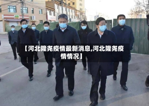 【河北隆尧疫情最新消息,河北隆尧疫情情况】-第2张图片