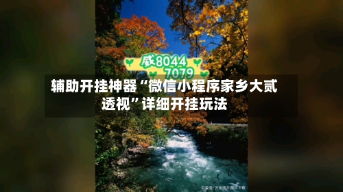 辅助开挂神器“微信小程序家乡大贰透视”详细开挂玩法-第1张图片