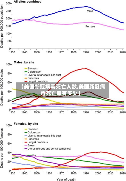 【美国新冠病毒死亡人数,美国新冠病毒死亡率有多少】-第3张图片